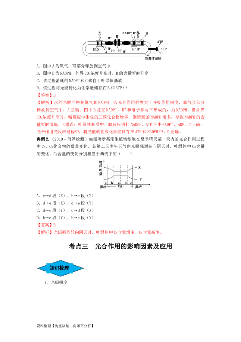 专题09光合作用（串讲）（解析版）_新高考复习资料_2024年新高考复习资料_一轮复习资料_完备战2024年高考生物一轮复习串讲精练（新高考专用）_串讲_解析版