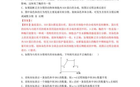 专题11细胞的增殖（精练）（解析版）_新高考复习资料_2024年新高考复习资料_一轮复习资料_完备战2024年高考生物一轮复习串讲精练（新高考专用）_精练_解析版