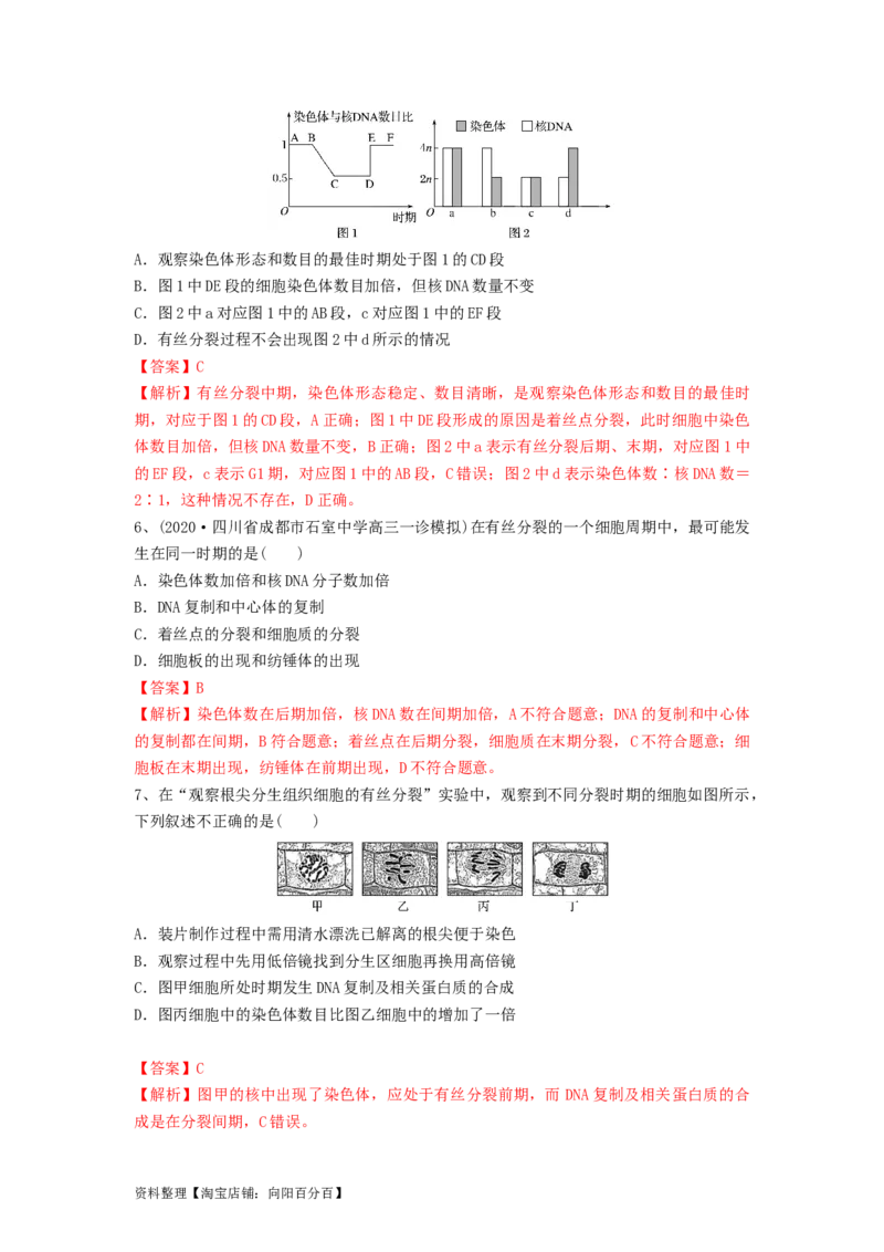 专题11细胞的增殖（精练）（解析版）_新高考复习资料_2024年新高考复习资料_一轮复习资料_完备战2024年高考生物一轮复习串讲精练（新高考专用）_精练_解析版
