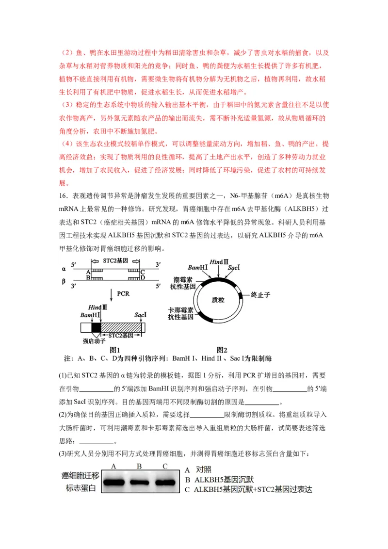 黄金卷05（解析版）-赢在高考&middot;黄金8卷备战2024年高考生物模拟卷（天津专用）_2024年新高考资料_4.2024高考模拟预测试卷