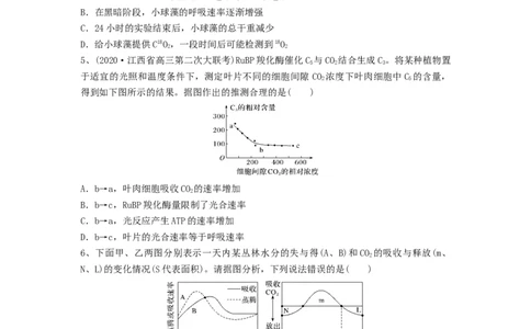 专题10光合作用与细胞呼吸的综合应用（精练）（原卷版）_新高考复习资料_2024年新高考复习资料_一轮复习资料_完备战2024年高考生物一轮复习串讲精练（新高考专用）_精练