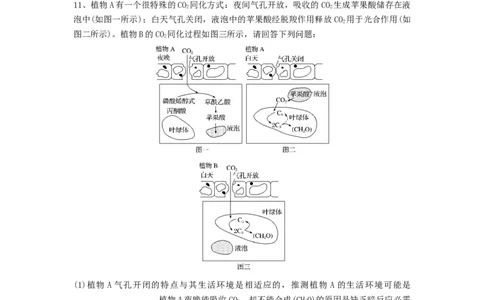 专题10光合作用与细胞呼吸的综合应用（精练）（原卷版）_新高考复习资料_2024年新高考复习资料_一轮复习资料_完备战2024年高考生物一轮复习串讲精练（新高考专用）_精练