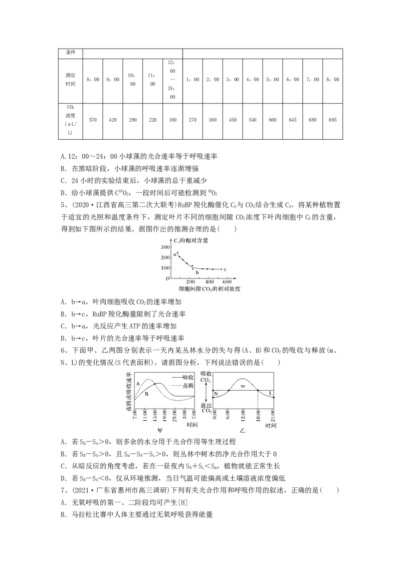 专题10光合作用与细胞呼吸的综合应用（精练）（原卷版）_新高考复习资料_2024年新高考复习资料_一轮复习资料_完备战2024年高考生物一轮复习串讲精练（新高考专用）_精练