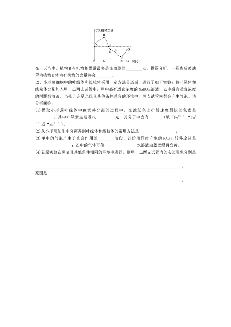 专题10光合作用与细胞呼吸的综合应用（精练）（原卷版）_新高考复习资料_2024年新高考复习资料_一轮复习资料_完备战2024年高考生物一轮复习串讲精练（新高考专用）_精练
