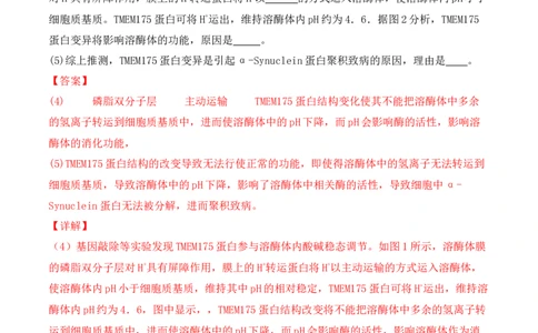 专题12长句作答类（解析版）_新高考复习资料_2024年新高考复习资料_二轮复习资料_2024年高考生物二轮热点题型归纳与变式演练（新高考通用）_教师版（含答案解析）
