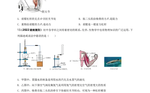 专题48跨学科（含实践）类中考热点问题（原卷版）_8、物理总复习_8.中考物理总复习_2023年中考复习资料_二轮复习_2023年二轮复习小微专题精准练助力中考物理四点问题大突破（通用版）