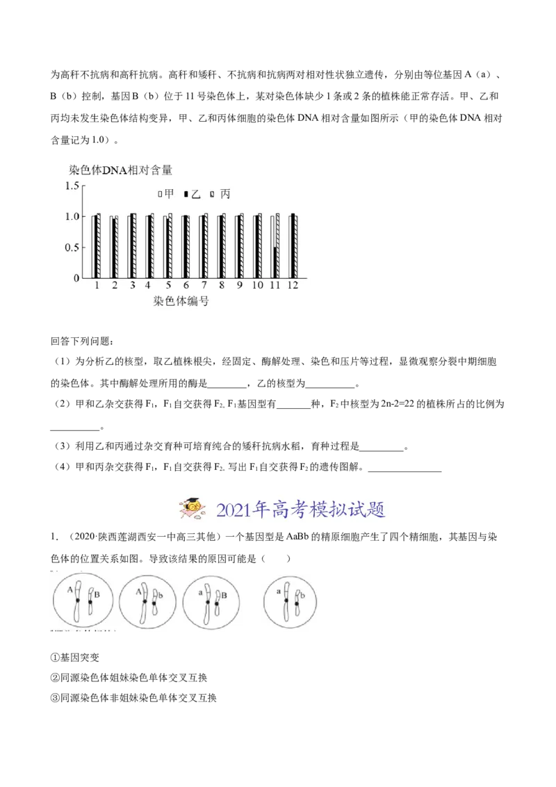 专题10变异、育种与进化-2021年高考真题和模拟题生物分项汇编（原卷版）_新高考复习资料_2022年新高考复习资料_2021年高考真题和模拟题生物分项汇编7.30更新