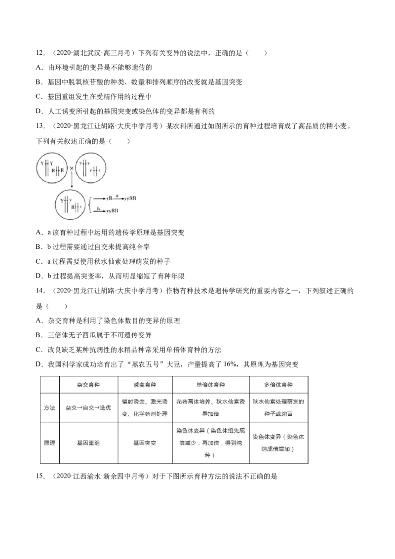 专题10变异、育种与进化-2021年高考真题和模拟题生物分项汇编（原卷版）_新高考复习资料_2022年新高考复习资料_2021年高考真题和模拟题生物分项汇编7.30更新