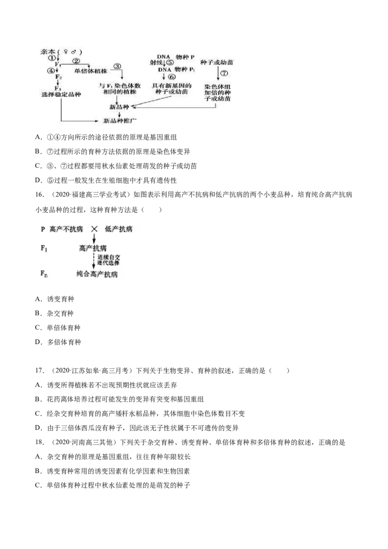 专题10变异、育种与进化-2021年高考真题和模拟题生物分项汇编（原卷版）_新高考复习资料_2022年新高考复习资料_2021年高考真题和模拟题生物分项汇编7.30更新