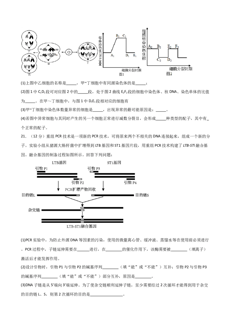 黄金卷03（原卷版）-赢在高考&middot;黄金8卷备战2024年高考生物模拟卷（江西专用）_2024年新高考资料_4.2024高考模拟预测试卷
