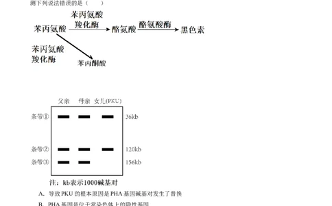 黄金卷02（解析版）-赢在高考&middot;黄金8卷备战2024年高考生物模拟卷（重庆专用）_2024年新高考资料_4.2024高考模拟预测试卷