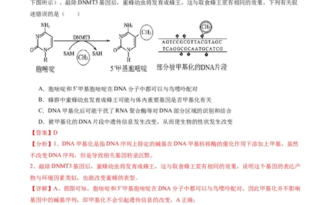黄金卷02（解析版）-赢在高考&middot;黄金8卷备战2024年高考生物模拟卷（重庆专用）_2024年新高考资料_4.2024高考模拟预测试卷
