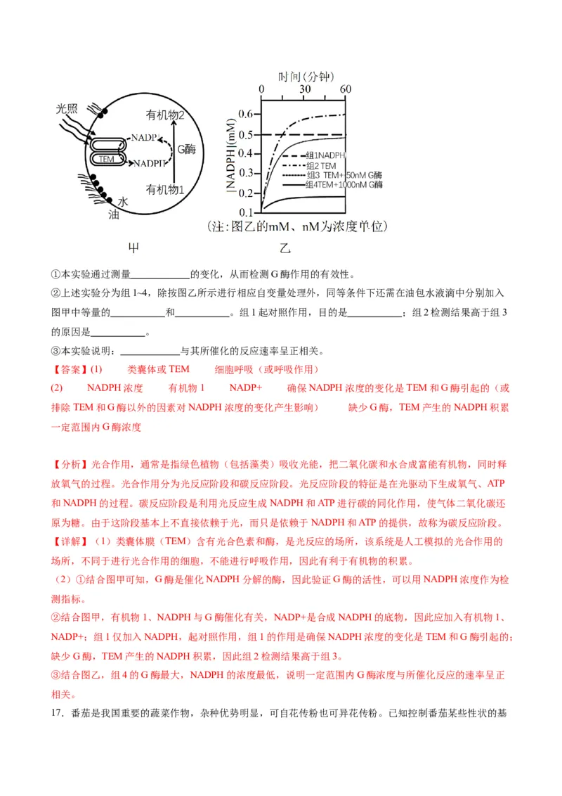 黄金卷02（解析版）-赢在高考&middot;黄金8卷备战2024年高考生物模拟卷（重庆专用）_2024年新高考资料_4.2024高考模拟预测试卷