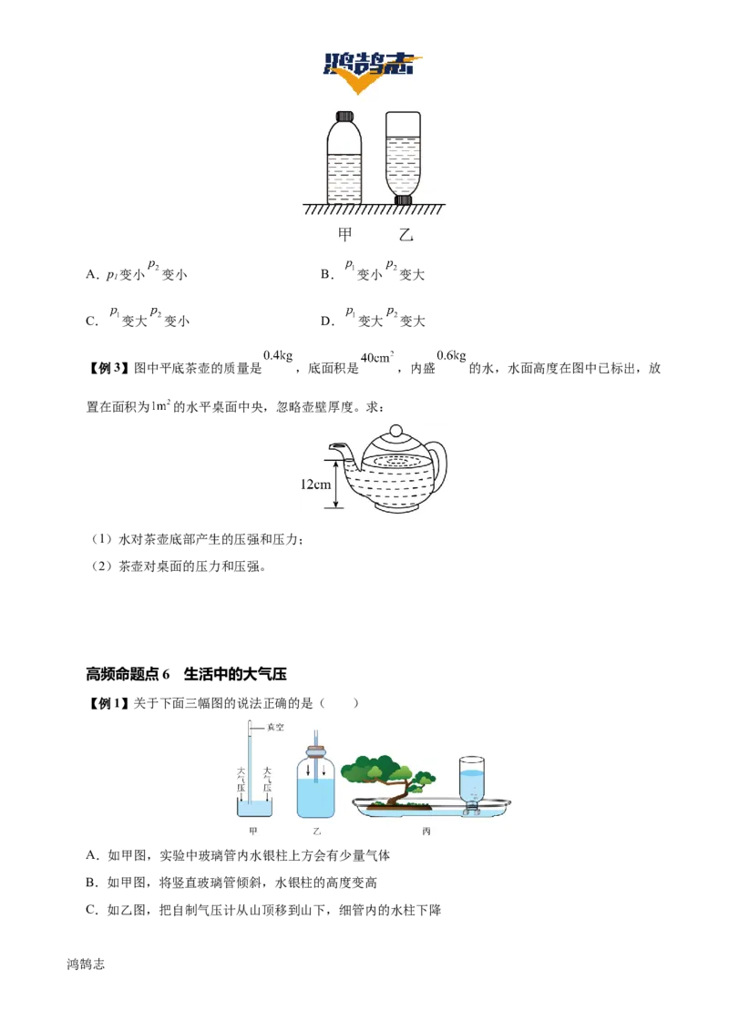 专题10压强（4大模块知识清单+5个易混易错+5种方法技巧+典例真题精析）（原卷版）_8、物理总复习_物理一轮复习