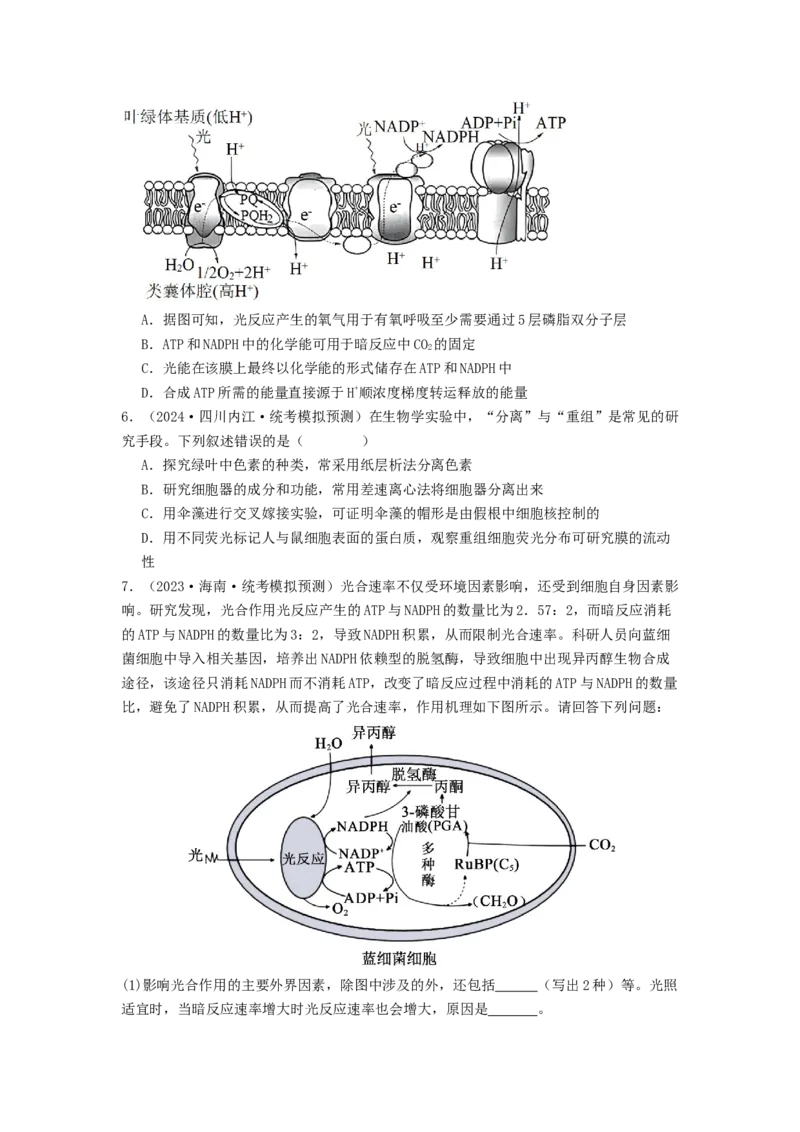 专题09光合作用和呼吸作用（原卷版）_通用版（老高考）复习资料_2024年复习资料_完备战2024年高考生物一轮复习抢分特训（全国通用）