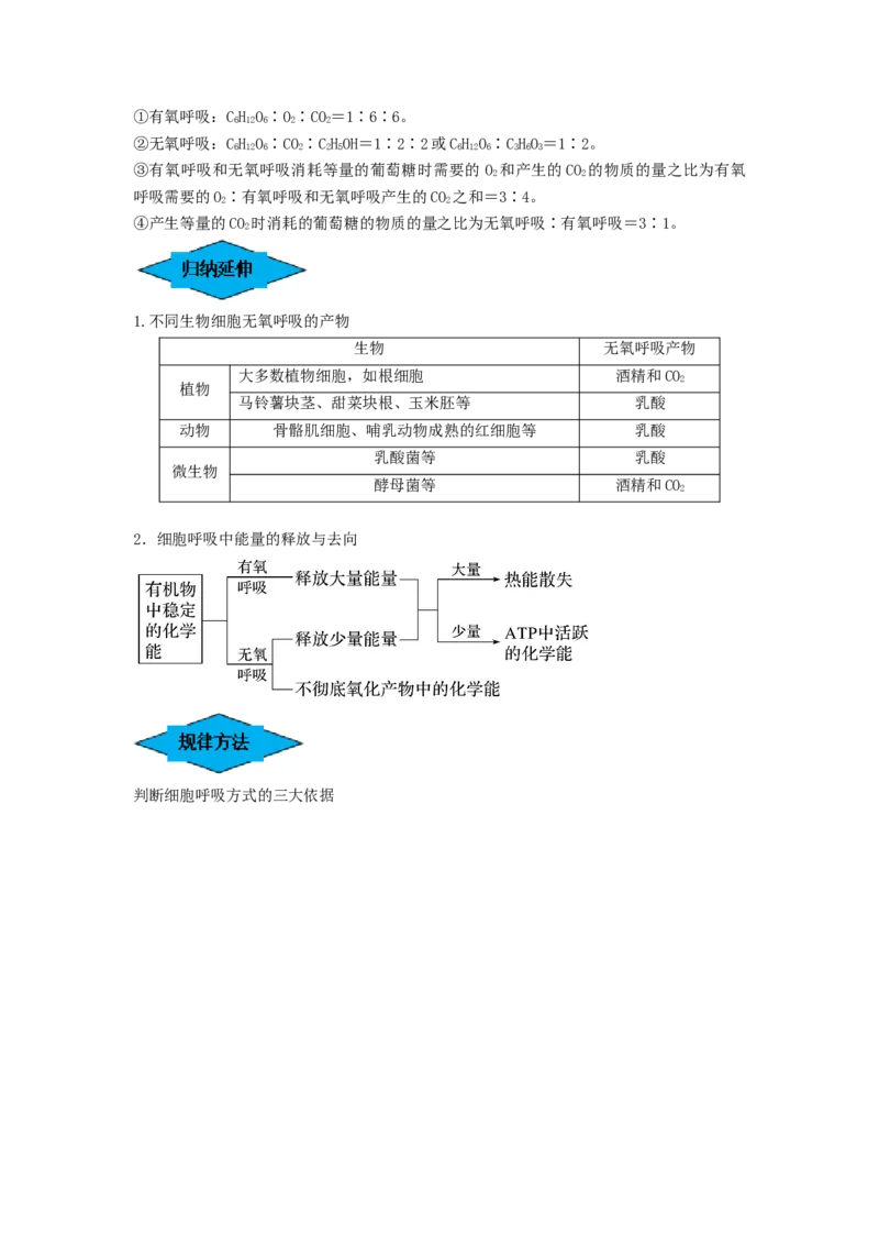 专题08细胞呼吸（串讲）（原卷版）_新高考复习资料_2024年新高考复习资料_一轮复习资料_完备战2024年高考生物一轮复习串讲精练（新高考专用）_串讲
