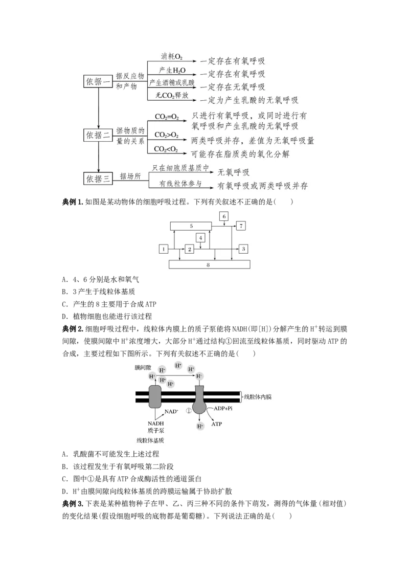 专题08细胞呼吸（串讲）（原卷版）_新高考复习资料_2024年新高考复习资料_一轮复习资料_完备战2024年高考生物一轮复习串讲精练（新高考专用）_串讲