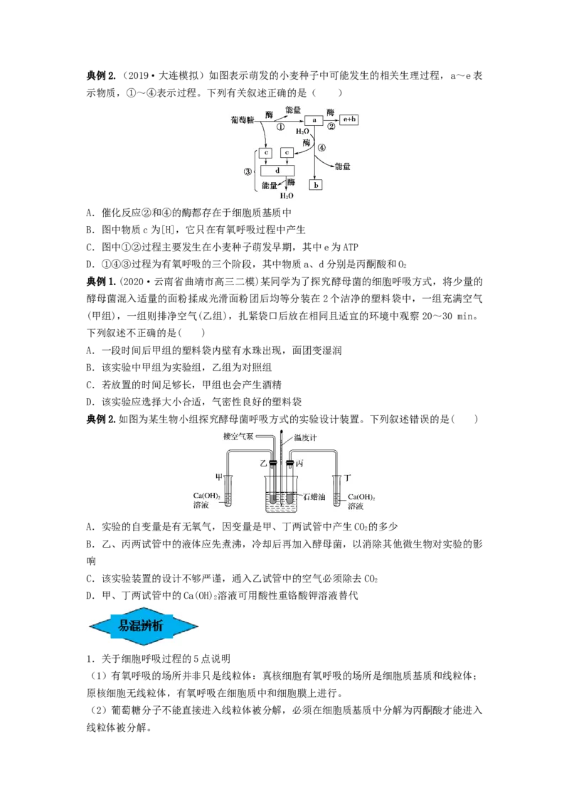 专题08细胞呼吸（串讲）（原卷版）_新高考复习资料_2024年新高考复习资料_一轮复习资料_完备战2024年高考生物一轮复习串讲精练（新高考专用）_串讲