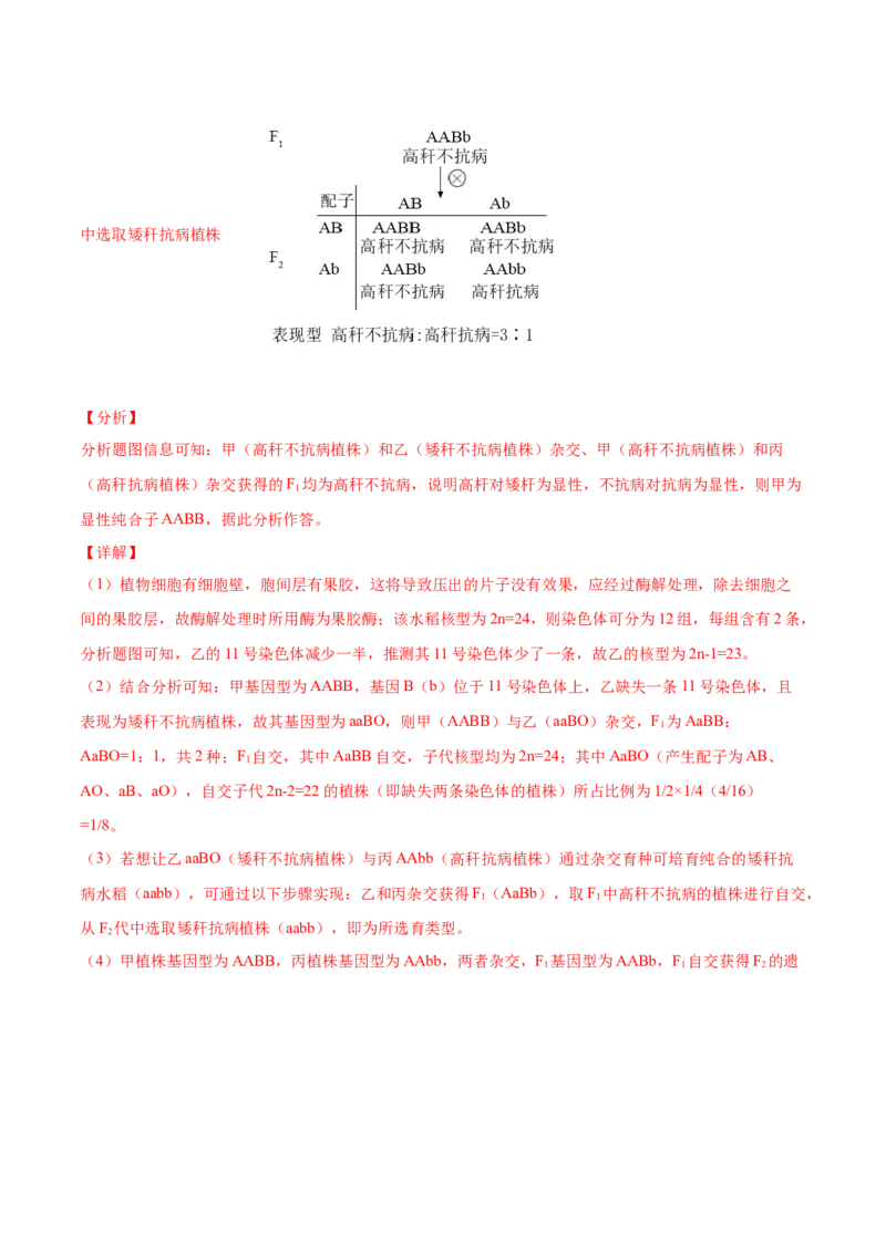 专题10变异、育种与进化-2021年高考真题和模拟题生物分项汇编（解析版）_新高考复习资料_2022年新高考复习资料_2021年高考真题和模拟题生物分项汇编7.30更新