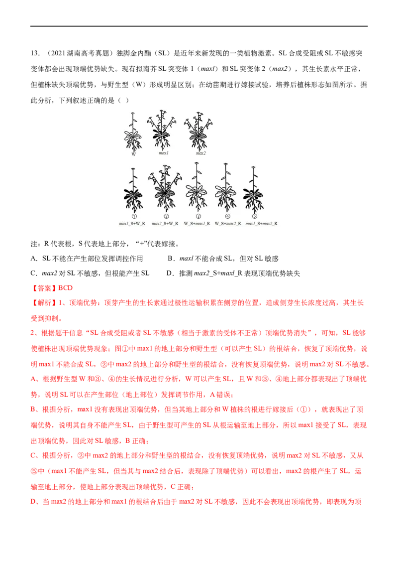 专题12植物生命活动的调节（练）-2023年高考生物二轮复习讲练测（全国通用）（解析版）_通用版（老高考）复习资料_2023年复习资料_二轮复习_2023年高考生物二轮复习讲练测（全国通用）