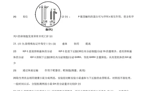 黄金卷04（参考答案）-赢在高考&middot;黄金8卷备战2024年高考生物模拟卷（山东专用）_2024年新高考资料_4.2024高考模拟预测试卷