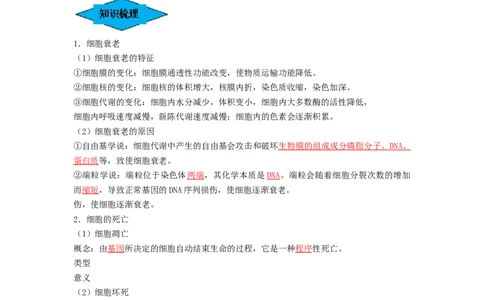 专题13细胞的分化、衰老和死亡（串讲）（解析版）_新高考复习资料_2024年新高考复习资料_一轮复习资料_完备战2024年高考生物一轮复习串讲精练（新高考专用）_串讲_解析版