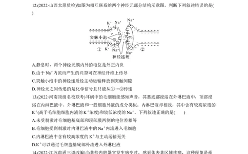 专题11动物生命活动调节(测试卷）-2023年高考生物二轮复习讲练测（全国通用）（原卷版）_通用版（老高考）复习资料_2023年复习资料_二轮复习