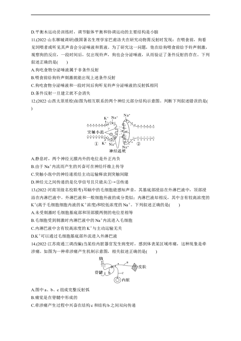 专题11动物生命活动调节(测试卷）-2023年高考生物二轮复习讲练测（全国通用）（原卷版）_通用版（老高考）复习资料_2023年复习资料_二轮复习