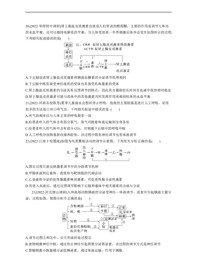 专题11动物生命活动调节(测试卷）-2023年高考生物二轮复习讲练测（全国通用）（原卷版）_通用版（老高考）复习资料_2023年复习资料_二轮复习