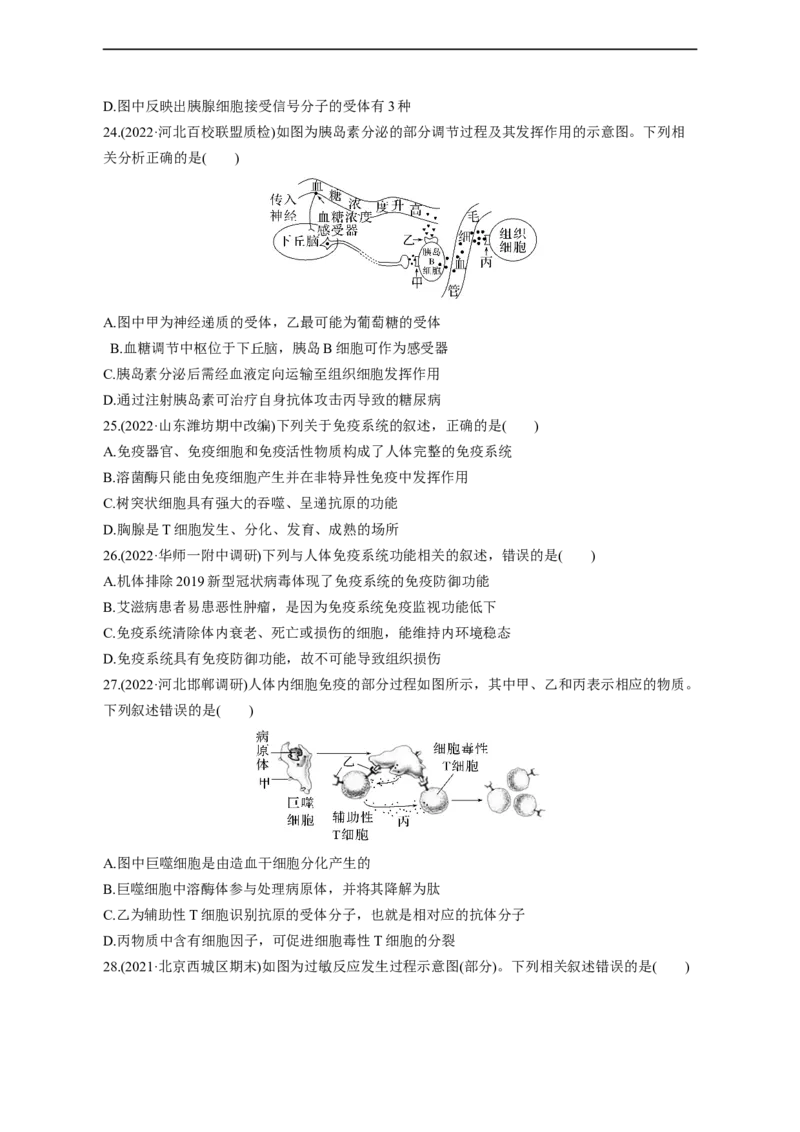 专题11动物生命活动调节(测试卷）-2023年高考生物二轮复习讲练测（全国通用）（原卷版）_通用版（老高考）复习资料_2023年复习资料_二轮复习