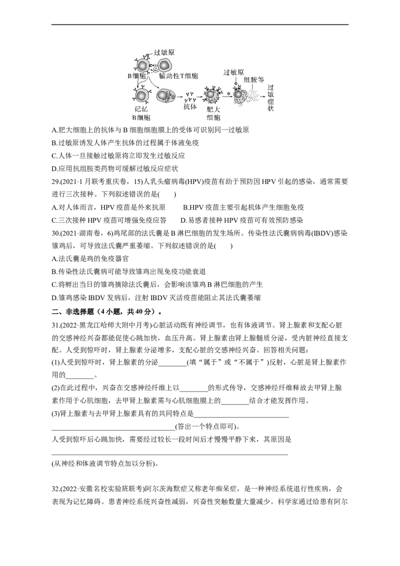 专题11动物生命活动调节(测试卷）-2023年高考生物二轮复习讲练测（全国通用）（原卷版）_通用版（老高考）复习资料_2023年复习资料_二轮复习