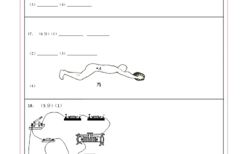 物理（武汉卷）（答题卡）_8、物理总复习_2024中考模拟题物理_一模_物理（湖北武汉卷）-学易金卷2024年中考第一次模拟考试_物理（湖北武汉卷）-学易金卷2024年中考第一次模拟考试
