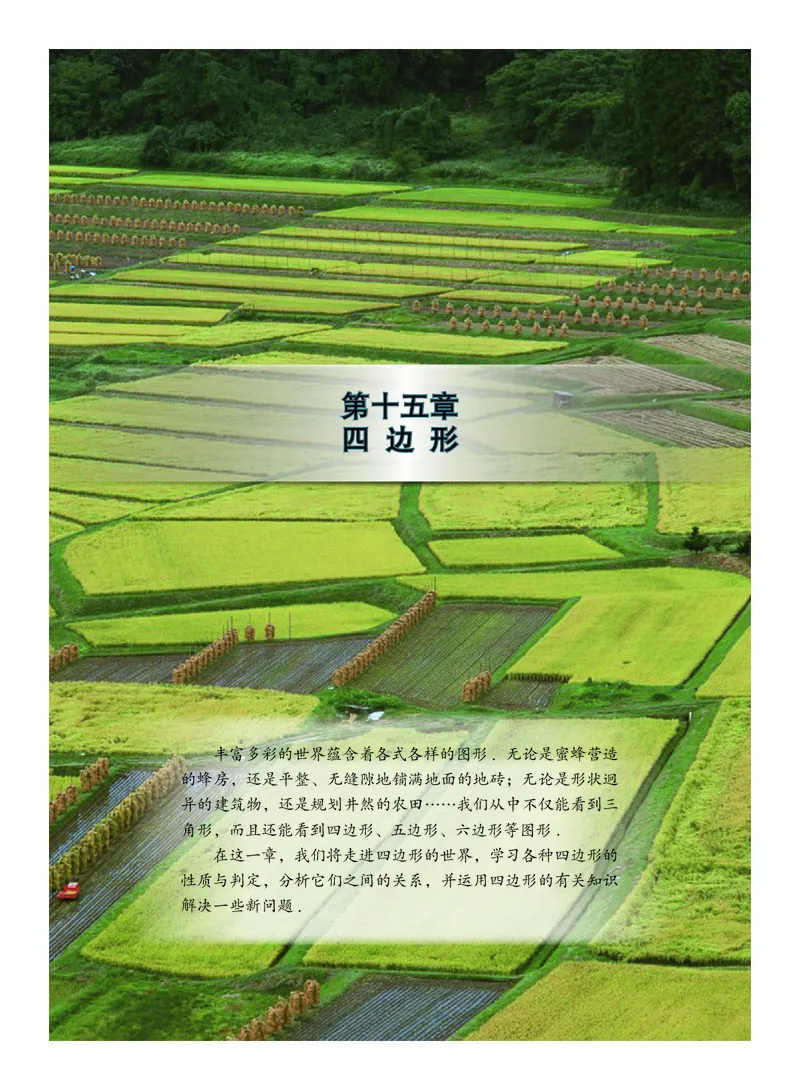 北京版数学八年级下册电子课本_初中电子课本_2.数学_北京版
