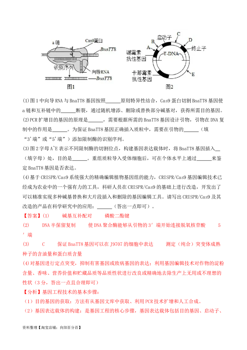 专题10生物技术与工程（解析版）_新高考复习资料_2024年新高考复习资料_二轮复习资料_2024年高考生物二轮热点题型归纳与变式演练（新高考通用）_教师版（含答案解析）
