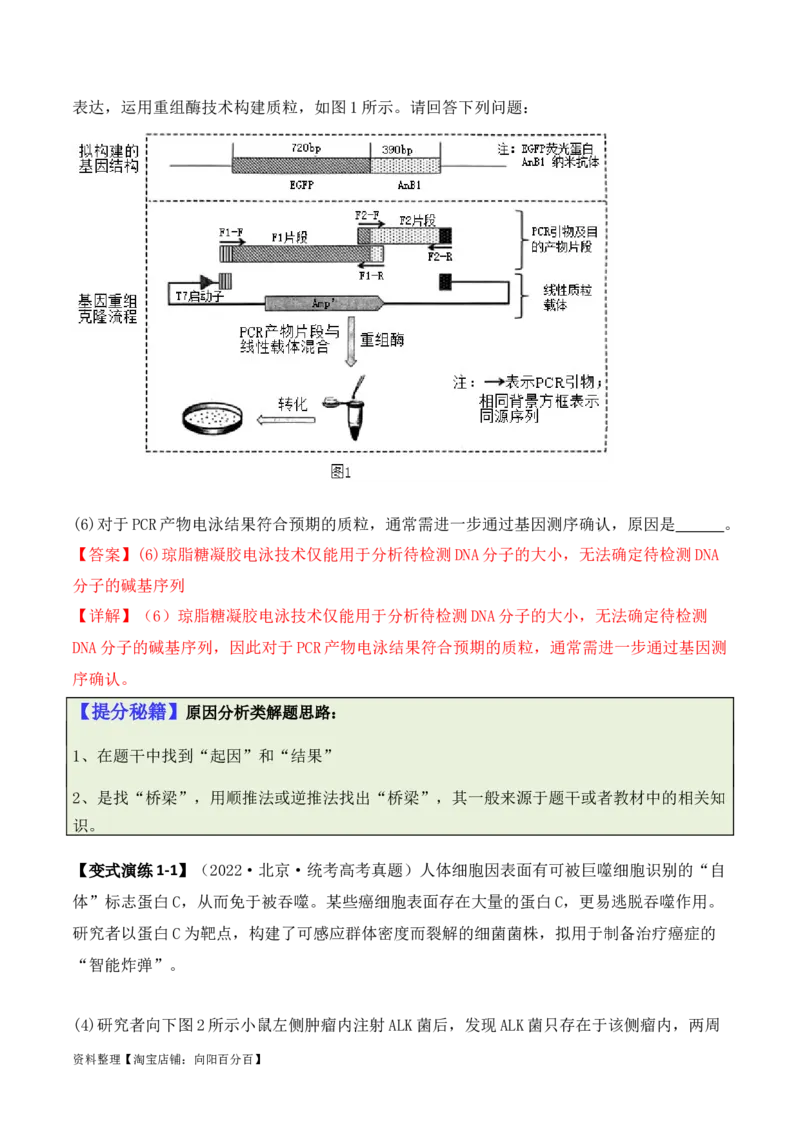 专题10生物技术与工程（解析版）_新高考复习资料_2024年新高考复习资料_二轮复习资料_2024年高考生物二轮热点题型归纳与变式演练（新高考通用）_教师版（含答案解析）
