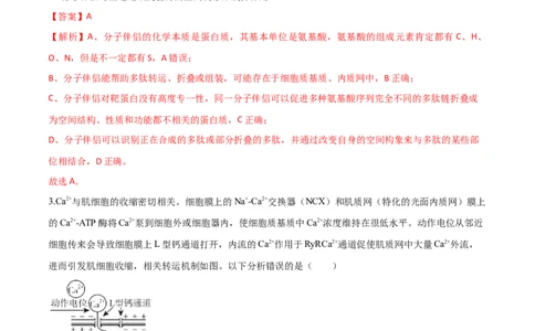 黄金卷06（解析版）-赢在高考&middot;黄金8卷备战2024年高考生物模拟卷（山东专用）_2024年新高考资料_4.2024高考模拟预测试卷
