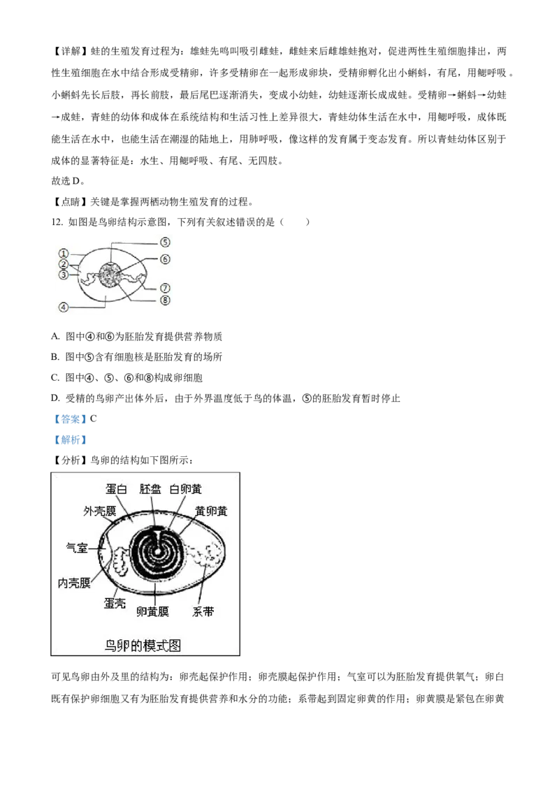 04八年级下学期期中生物试题（解析版）_初中全科电子版试卷练习试题_生物_生物8下练习_人教生物8年级下期中试卷10份