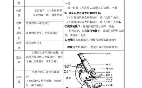 七年级上知识点总结_《初中全科目知识点汇总》_初中生物知识点汇总