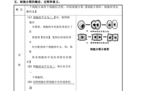 七年级上知识点总结_《初中全科目知识点汇总》_初中生物知识点汇总