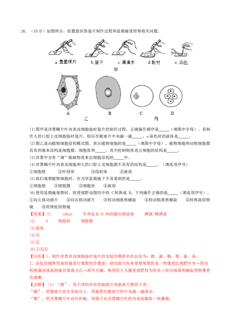 七年级生物期末模拟卷01（全解全析）（人教版2024）_初中全科电子版试卷练习试题_生物_生物人教版7上练习&mdash;24新版已更新_人教生物7年级上期末试卷11份