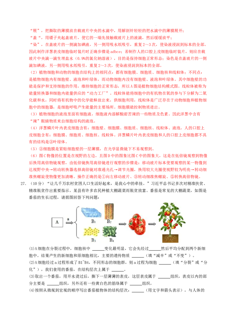 七年级生物期末模拟卷01（全解全析）（人教版2024）_初中全科电子版试卷练习试题_生物_生物人教版7上练习&mdash;24新版已更新_人教生物7年级上期末试卷11份