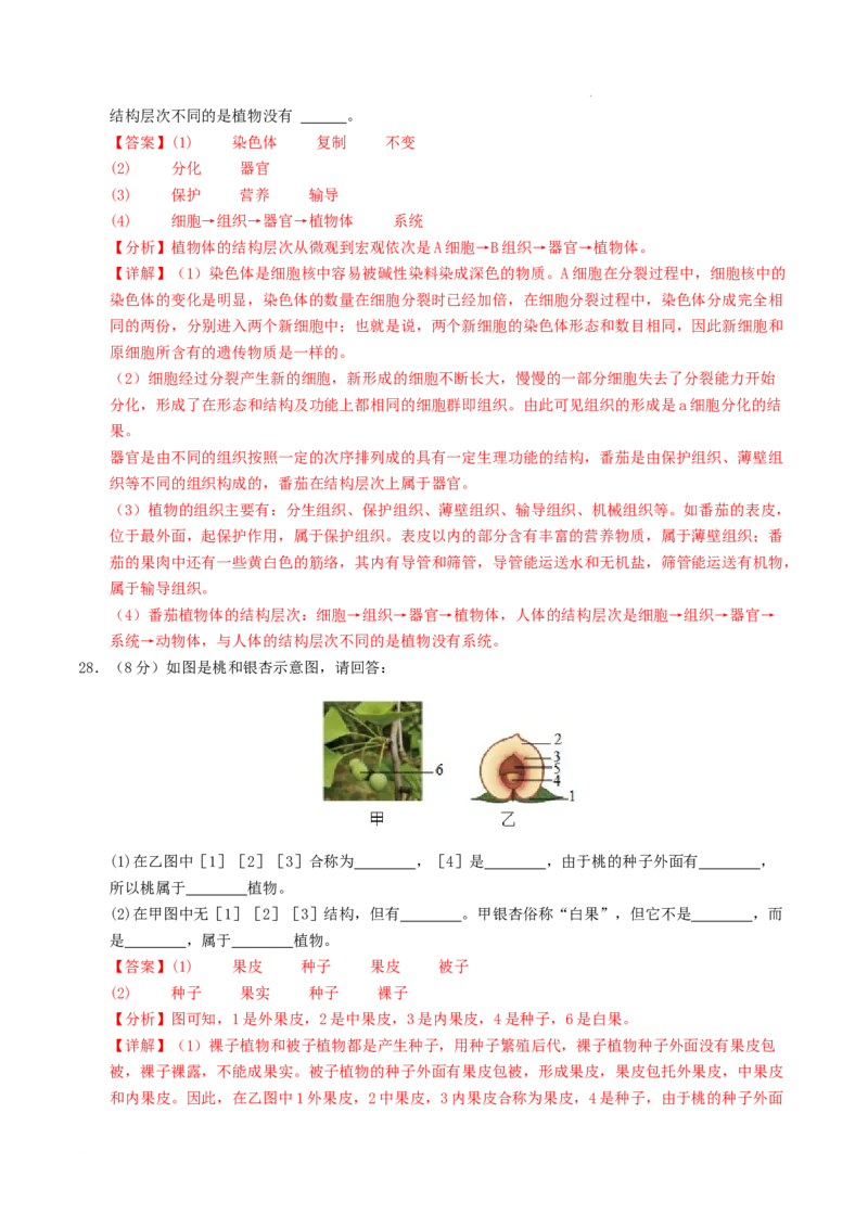七年级生物期末模拟卷01（全解全析）（人教版2024）_初中全科电子版试卷练习试题_生物_生物人教版7上练习&mdash;24新版已更新_人教生物7年级上期末试卷11份