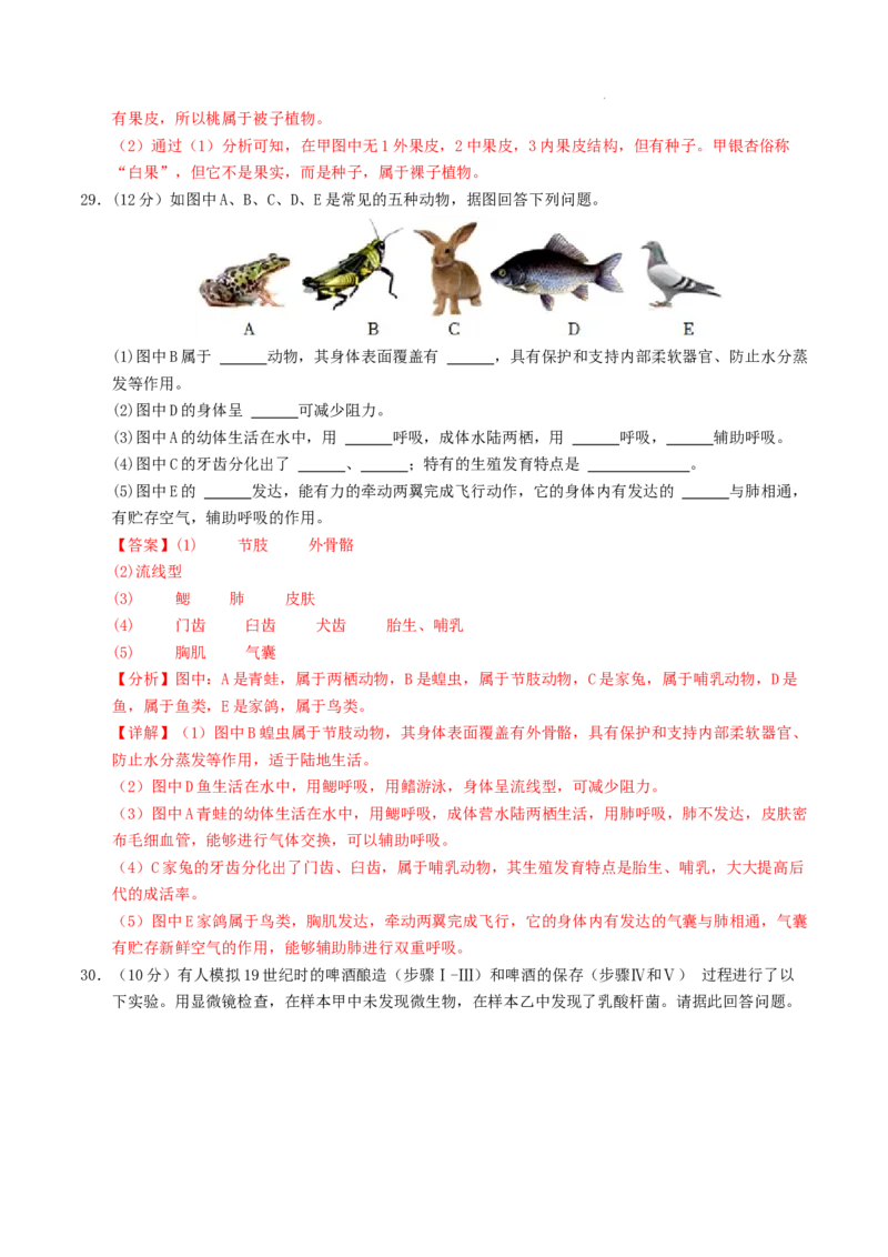 七年级生物期末模拟卷01（全解全析）（人教版2024）_初中全科电子版试卷练习试题_生物_生物人教版7上练习&mdash;24新版已更新_人教生物7年级上期末试卷11份