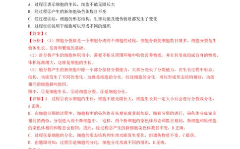 七年级生物期末模拟卷01（全解全析）（人教版2024）_初中全科电子版试卷练习试题_生物_生物人教版7上练习&mdash;24新版已更新_人教生物7年级上期末试卷11份