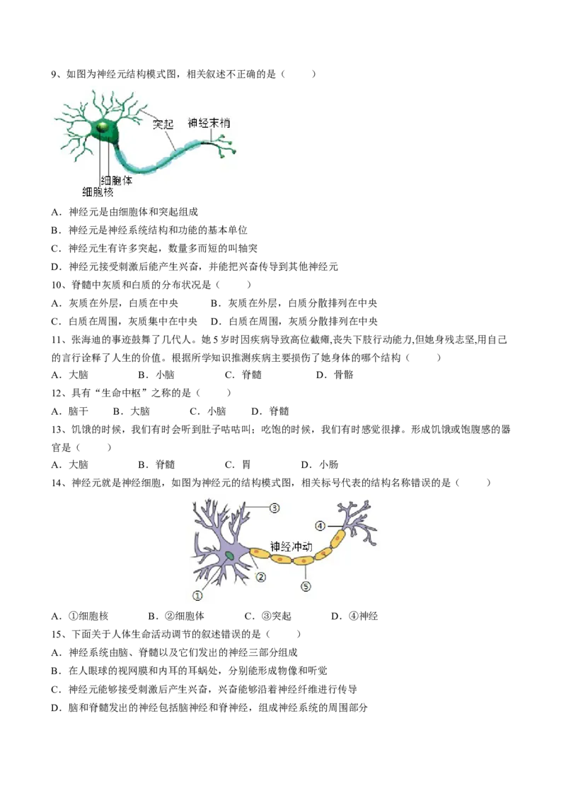 4.6.2神经系统的组成（原卷版）_初中全科电子版试卷练习试题_生物_生物人教版7下练习_人教生物7年级下课时练习40份_第2套七年级生物下册课时练习（人教版）20份