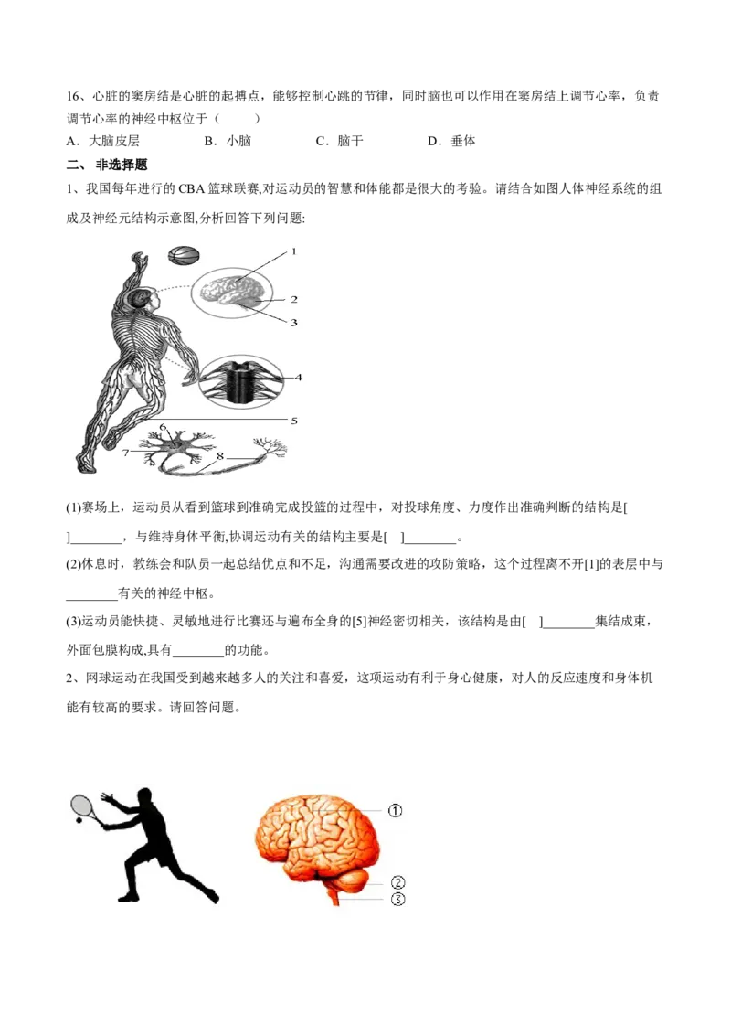 4.6.2神经系统的组成（原卷版）_初中全科电子版试卷练习试题_生物_生物人教版7下练习_人教生物7年级下课时练习40份_第2套七年级生物下册课时练习（人教版）20份