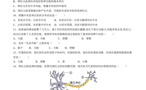 4.6.2神经系统的组成（原卷版）_初中全科电子版试卷练习试题_生物_生物人教版7下练习_人教生物7年级下课时练习40份_第2套七年级生物下册课时练习（人教版）20份