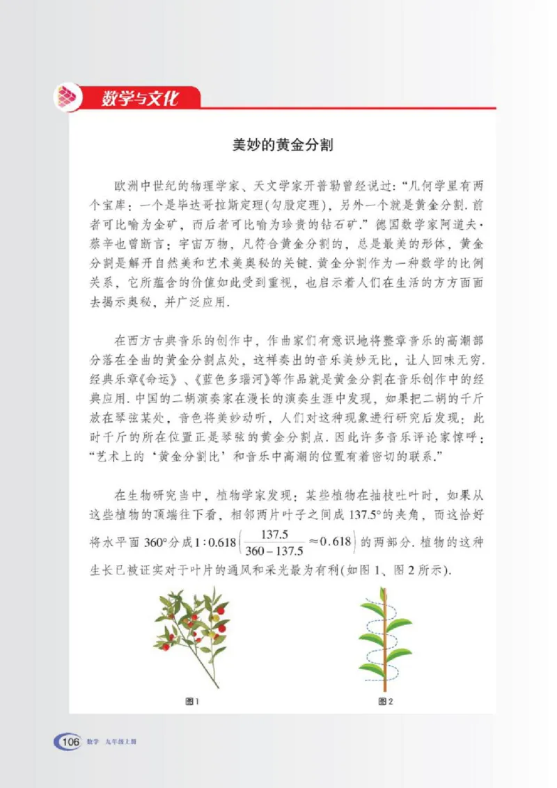 湘教版数学九年级上册课本_初中电子课本_2.数学_湘教版