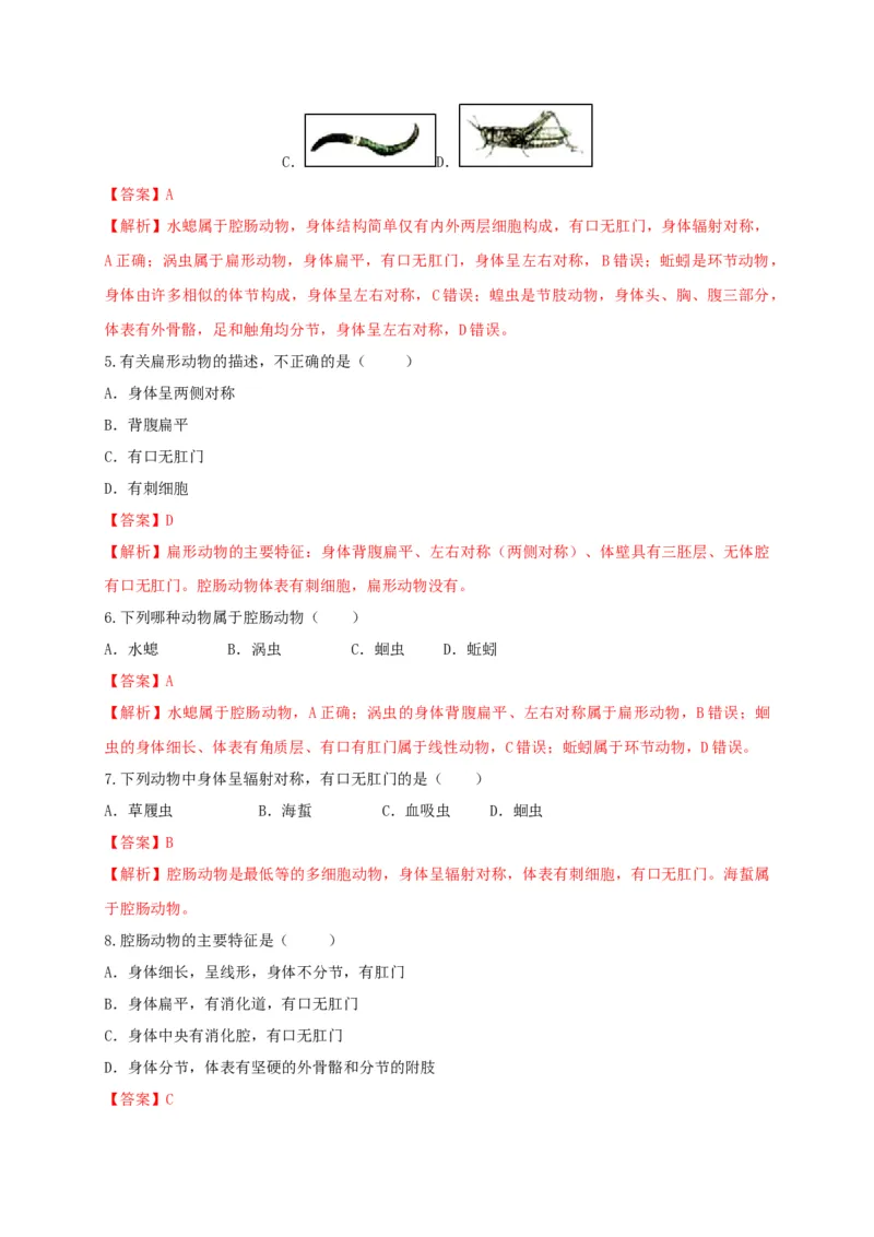 5.1.1腔肠动物和扁形动物（备作业）-（人教版）（解析版）_初中全科电子版试卷练习试题_生物_生物8上练习_人教生物8年级上课时练习37份