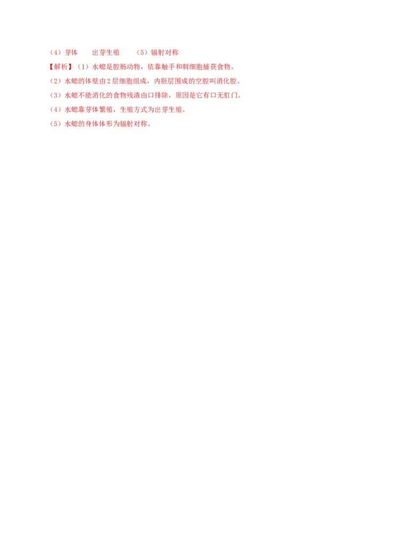 5.1.1腔肠动物和扁形动物（备作业）-（人教版）（解析版）_初中全科电子版试卷练习试题_生物_生物8上练习_人教生物8年级上课时练习37份